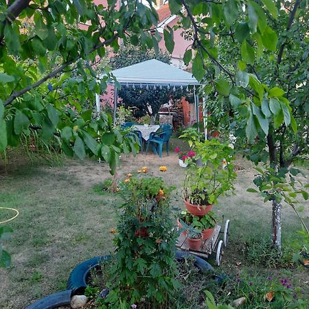 Apartman Drina Berilovac Eksteriør billede