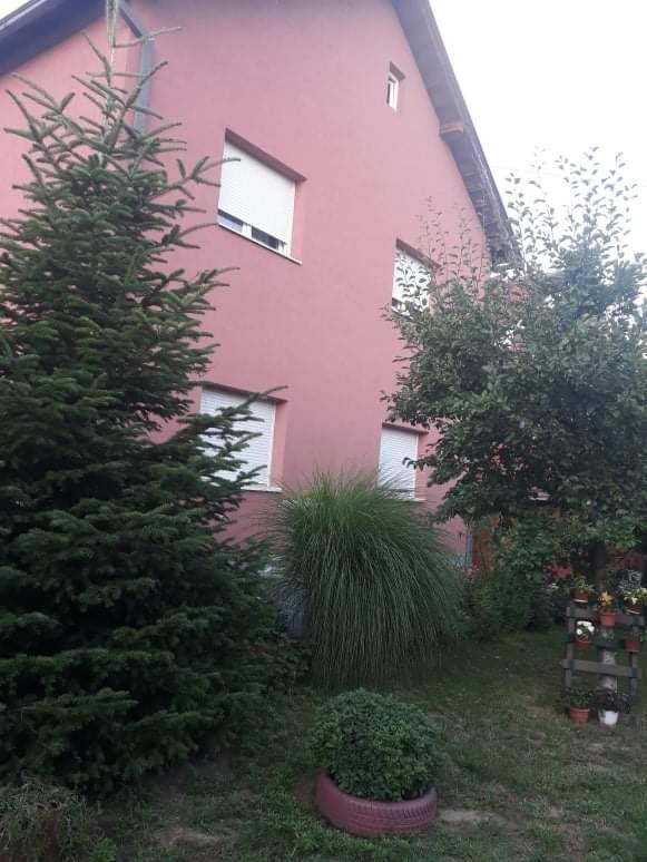 Apartman Drina Berilovac Eksteriør billede